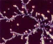 London tap water almost completely empty of liquid crystalline structure before application of Copper Vortex Water Energiser