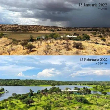 Dramatic greening of Windhoek, Namibia in 2022